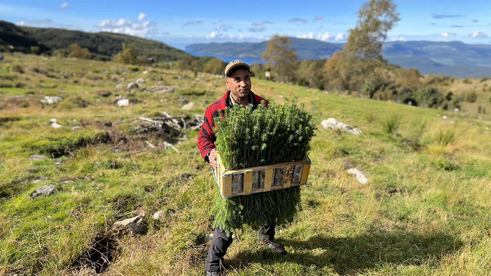 TF 2 ANDERS WITH YOUNG TREES