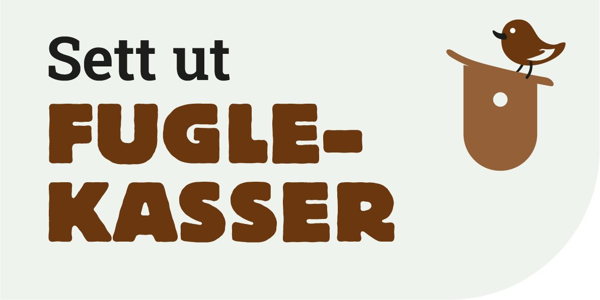 ProduktSett ut fuglekasser_no