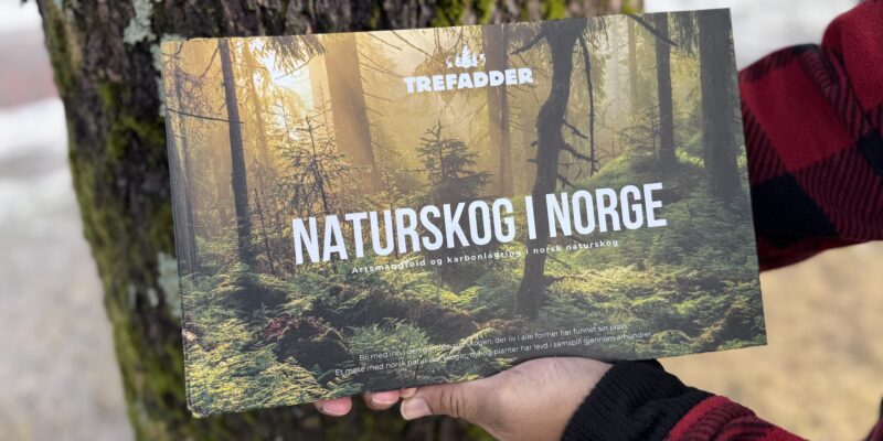 Natureskog i Norge